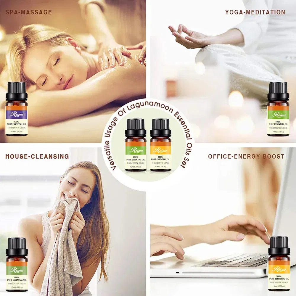 中国製造ホット販売低 MOQ OEM/ODM 化粧品包装容器ガラス香水ボトル プラスチック蓋ドロッパー キャップ付きマッサージ エッセンシャル オイル ボトル